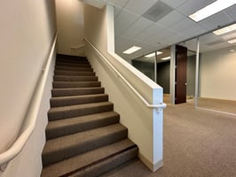 30036801