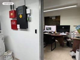 30036946