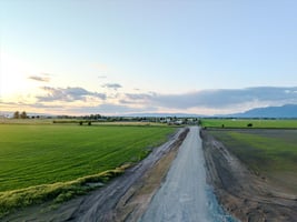 30037513