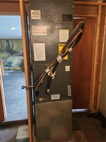 30058558