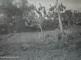 30040803