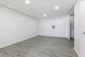 30045981