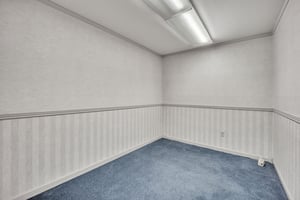 30049436