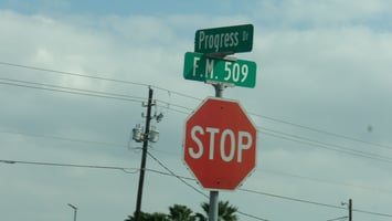 30049756