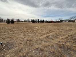 30049741