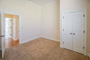 30055815