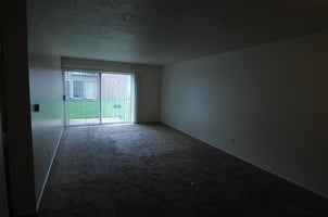 30051649