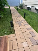30051758