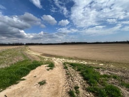 31517873