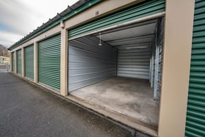 30053597