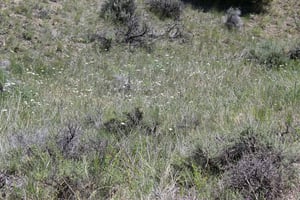 30056761