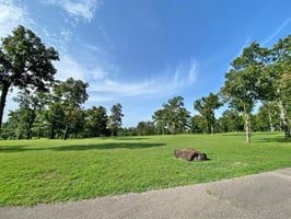 30057877