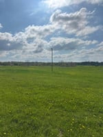 30061391