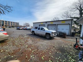 30066407