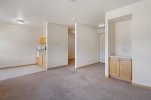 30076153