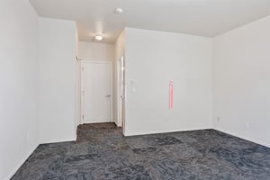 30076160