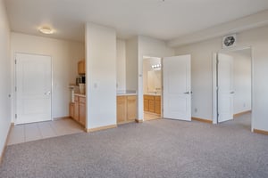 30076166