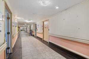 30076141