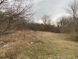 30076541