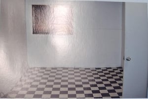 30077194