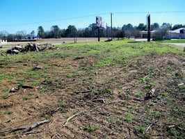 30078598