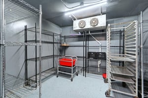 30079446