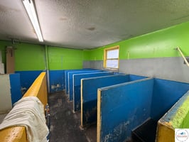 30079984