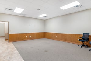 30081931