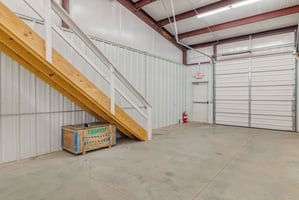 30081952
