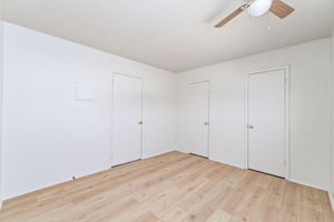 30082381