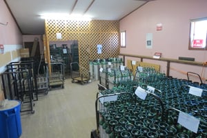 30082751