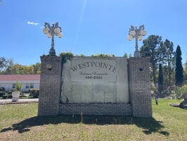 31636960