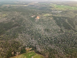 30953590