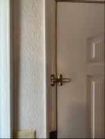 30089102