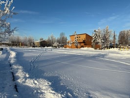 30089262
