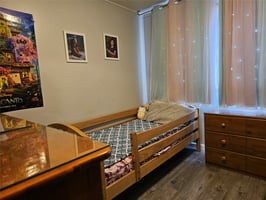30095392