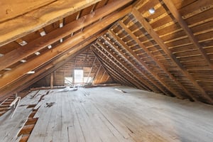 30098027