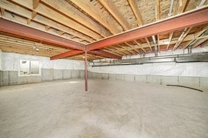 30099545