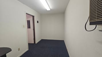 30098981