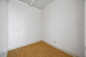 30099061
