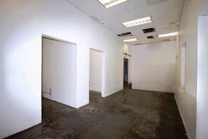 30102541