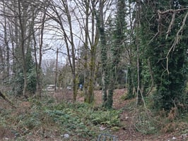 30105398