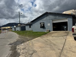 32927036