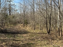 30109547