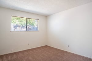30109591