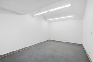 30110119