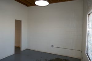33843683