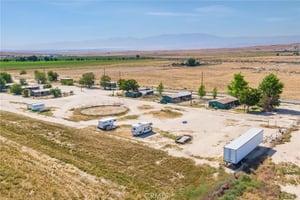 31419591