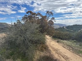31694066