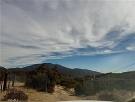 30136449